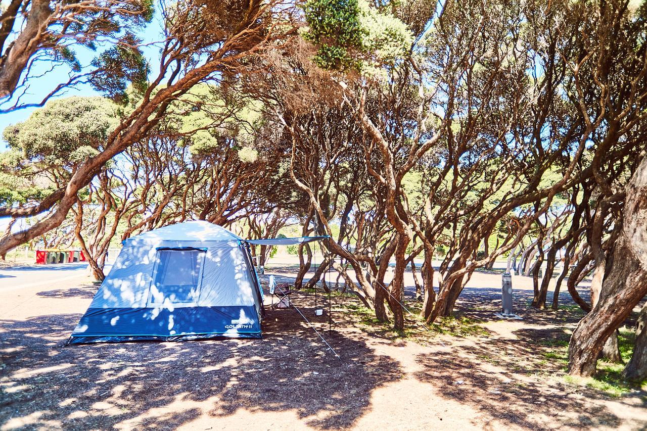 Anglesea Family Caravan Park Eksteriør billede